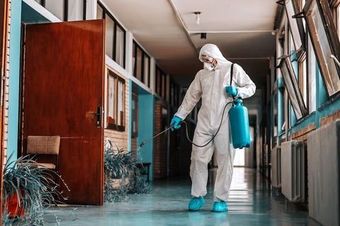 Pest Control Explained: Key Facts, Insights, and Helpful Resources
