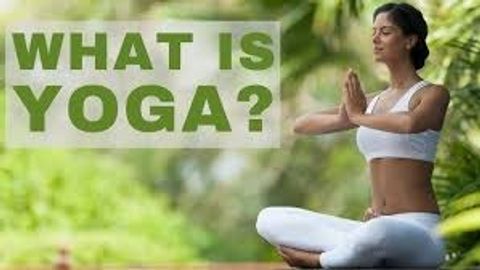 Explore the Power of Yoga Classes: A Beginner’s Guide to Wellness