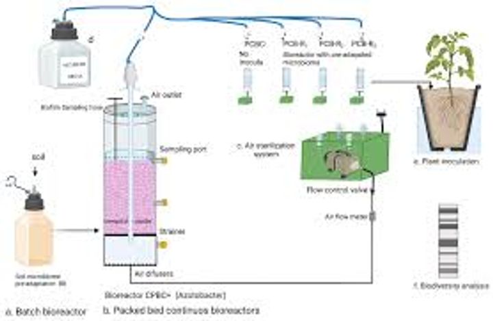 Bioreactors Explained: Essential Knowledge, Facts, and Information