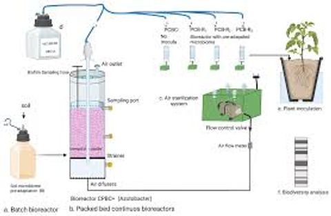 Bioreactors Explained: Essential Knowledge, Facts, and Information