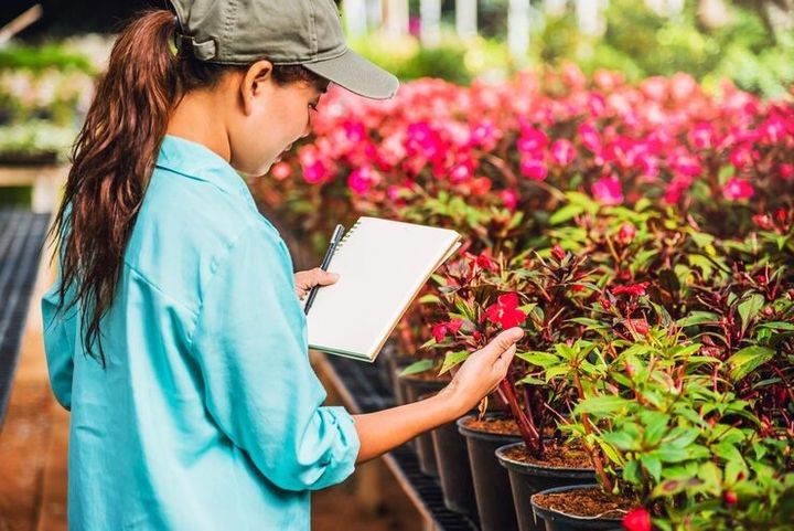 Plants and Flowers Information Guide: Details, Suggestions, and Insights