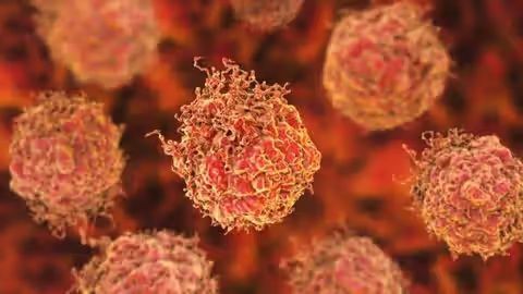 Understanding Erleada Therapy: Key Insights and Treatment Details